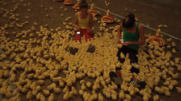 veerleboekestijn  GIF