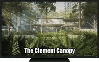 Solution clement clement canopy GIF