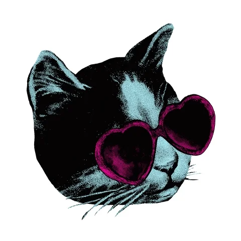 Cat Summer GIF by Veronique de Jong