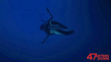 47MetersDown  GIF