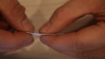 Zamnesia heart creative weed cannabis GIF