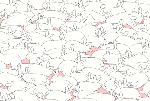 Bunny Rabbit GIF by Bronwyn Maloney - Find & Share on GIPHY