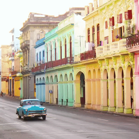 hey-you travel holiday sun vacation GIF