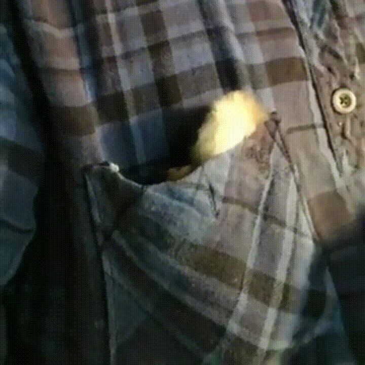 muddymelly  GIF