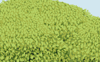 zinanzachmei  GIF