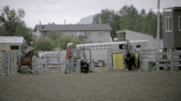 Viceland GIF by VICE WORLD OF SPORTS