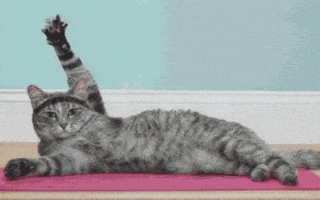 Digital art gif. A cat is doing yoga or pilates and wearing a headband, laying on an exercise mat with one of its front paws extending into the air and then lowering back down while the cat blinks slowly. It's no work at all to be so fabulous and fit. 
