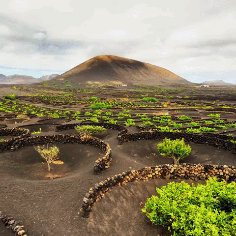hey-you holiday beach vacation island GIF