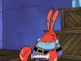 200.gif?cid=fc005b0800672c416e6865db08dca31f3c77b9db1ca2241a&rid=200.gif&ct=g