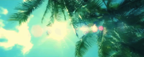 200.gif?cid=fc005b08cf075f2a7fa14881c440d767dc88b5793b427463&rid=200.gif&ct=g