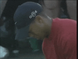 look up tiger woods GIF