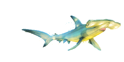 Under The Sea Lol Sticker by Dublin Zoo