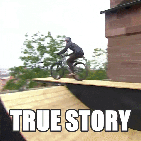 #truestory #backflip #bike #redbull #districtride #nuremberg GIF by Red Bull