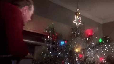 Christmas Tree GIF by filmeditor - Find & Share on GIPHY