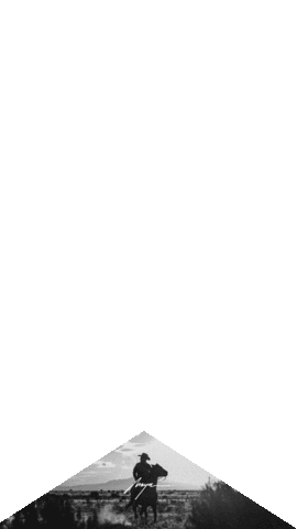 Sticker by Paul Moya