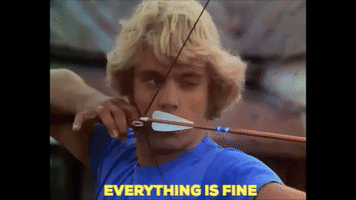Dukesofhazard GIF