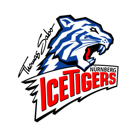 National Hockey League Sport Sticker by Deutsche Eishockey Liga (DEL)
