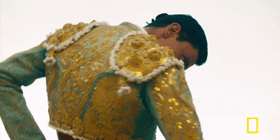 bull fighting GIF by National Geographic Channel
