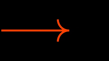 Manon Masse Quebec GIF by Québec solidaire