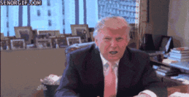 Donald Trump Trash GIF