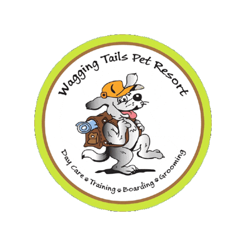 Dog Daycare Sticker by waggingtailspr
