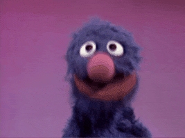 Grover GIF by Sesame Street