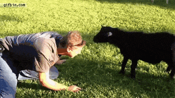200.gif
