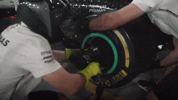 F1 GIF