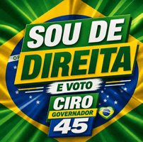 Ciro Gomes Bolsonaro GIF by Michel