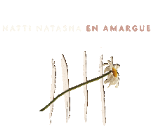 En Amargue Sticker by Natti Natasha