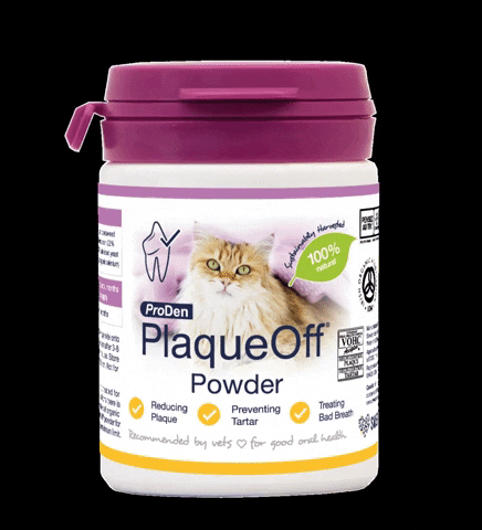 plaqueoffuk cats bad breath plaqueoff plaque off GIF