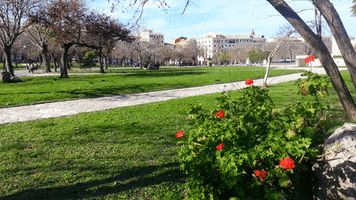 giwrgospnds corfu GIF