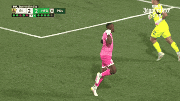 Celebration Hartford GIF by USL