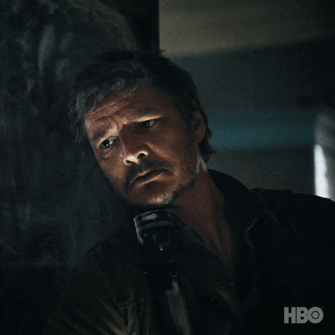 Be Quiet Pedro Pascal GIF by HBO