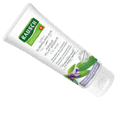 RAUSCH AG KREUZLINGEN Sticker