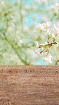 Cannabis business owners!!