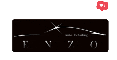 Enzo Auto Sticker