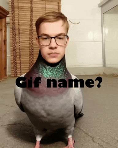 Tworkowski GIF