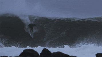 aliklinkenberg  GIF