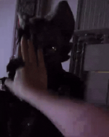 Kimono Furry Dancing GIF