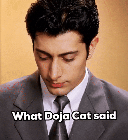 What Doja Cat Said GIF