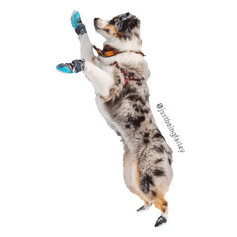 JustBeingFarley Sticker