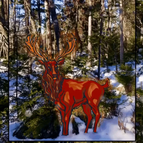maadmurray animation illustration deer woods GIF