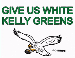 Philadelphia Eagles Nfl GIF