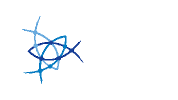 Web Sticker by Atena Solution