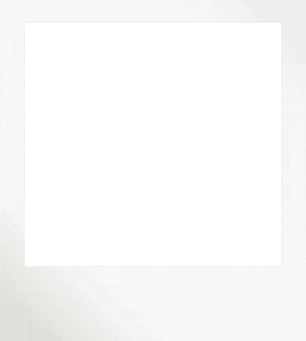 Ut Austin Tamu Sticker by The University of Texas at Austin