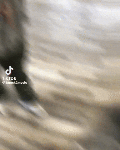 Jersey Mikes Yes GIF