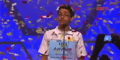 giphy.webp