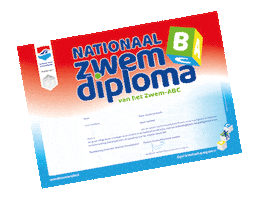Nationale Raad Zwemveiligheid Sticker