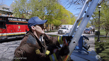 Ladder GIF by One Chicago